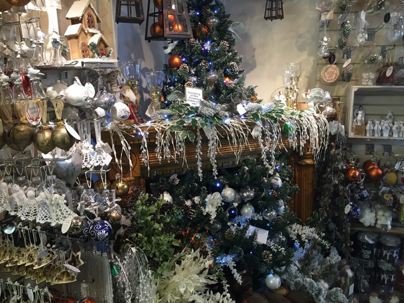 Christmas Christmas trees Garden Centre North Wales Ruthin