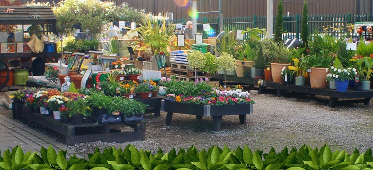 popular garden centre